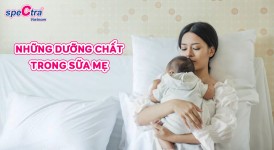 NHỮNG DƯỠNG CHẤT TRONG SỮA MẸ